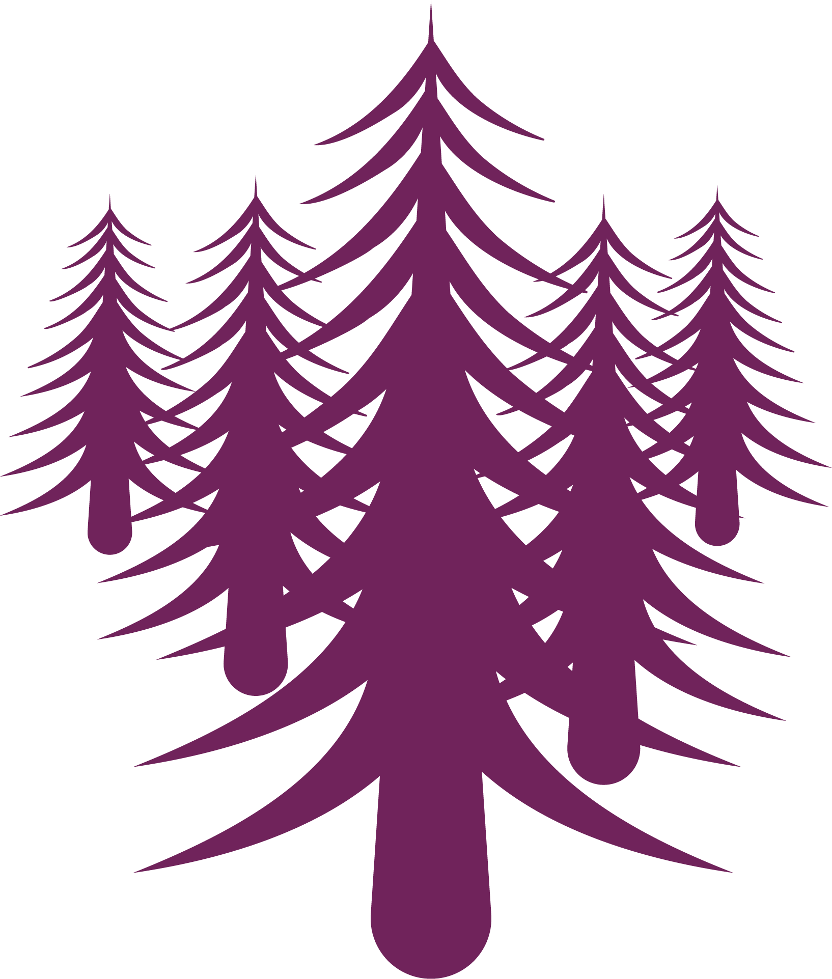 Creator Network - Hello Social Co.